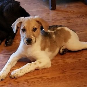 Meet your Posher, Tamera